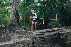 BIB: 
                            <button type="button" onclick="openModal(27742184)" class="btn btn-primary btn-sm float-right btn-popup" data-toggle="modal" data-target=".modal-high-quality">
                        <i class="fas fa-shopping-cart"></i> Add to Cart
                    </button>
                                            <button type="button" onclick="isThisMe(27742184, true)" class="btn btn-success btn-sm float-right btn-popup btn-isme hidden" data-toggle="tooltip" data-placement="bottom" title="นี่คือรูปของคุณใช่ไหม คลิกที่นี่เพื่อเอาเข้าอัลบั้ม">
                        <i class="fas fa-plus"></i> Add to album
                    </button>
                    <button type="button" onclick="isThisMe(27742184, false)" class="btn btn-warning btn-sm float-right btn-popup btn-isnotme hidden">
                        <i class="fas fa-ban"></i> Remove from album
                    </button>